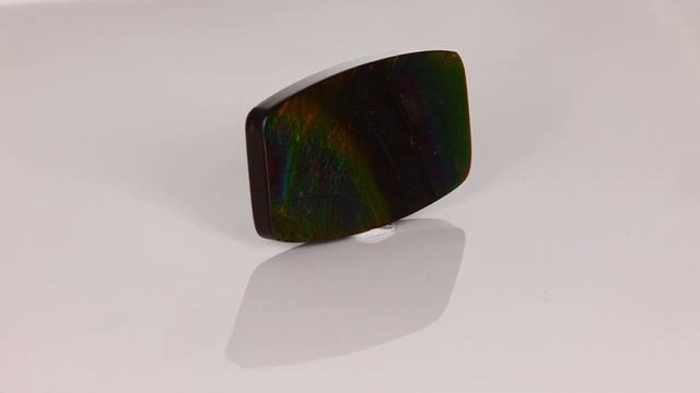 Ammolite Gemstone 44 Carat