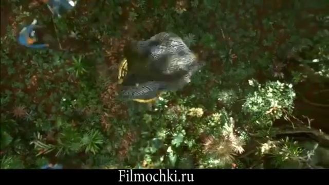 Джунгли зовут! В поисках Марсупилами