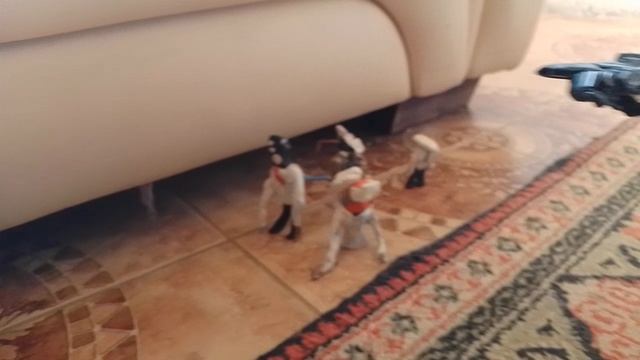 VID_20250302_124055