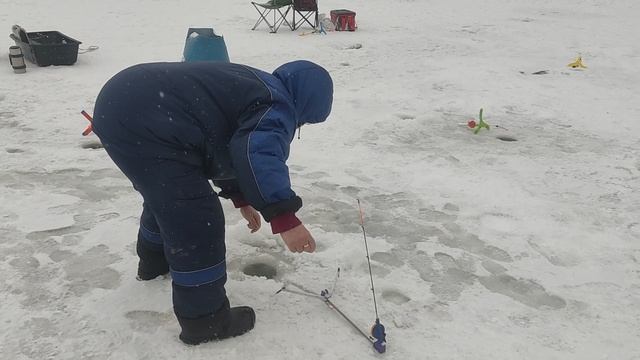 Поимки форели!!!