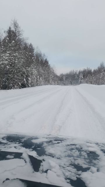 На ниве за городом