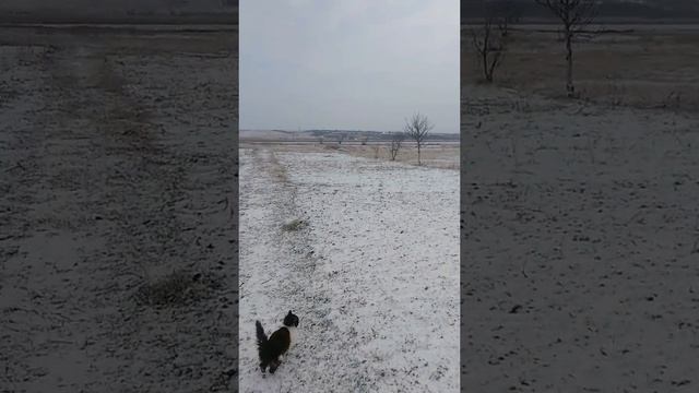первый снег