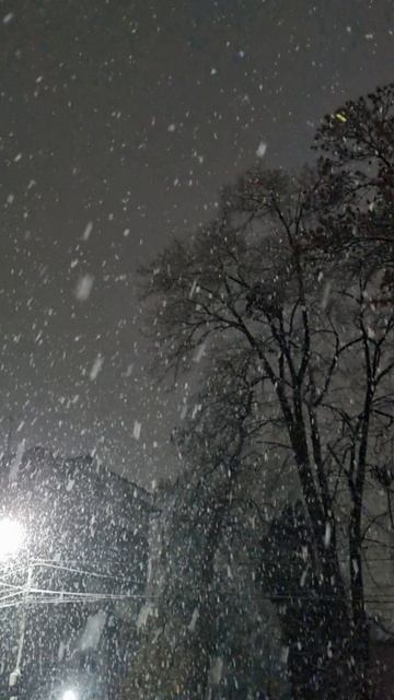 Владикавказ снег