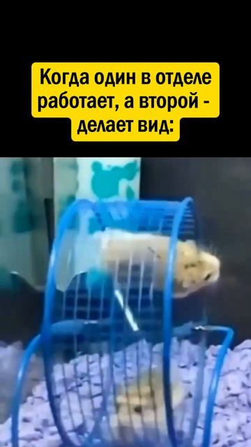 👉 ПОДПИШИСЬ - у нас весело 😁