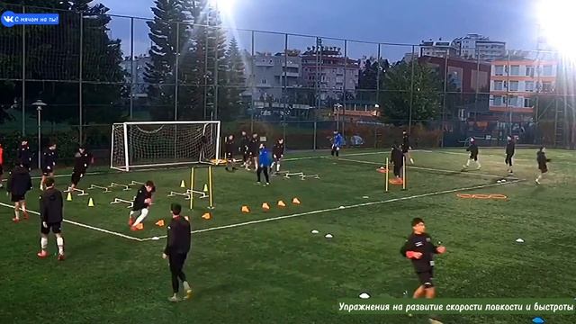 Упражнения на развитие скорости ловкости и быстроты