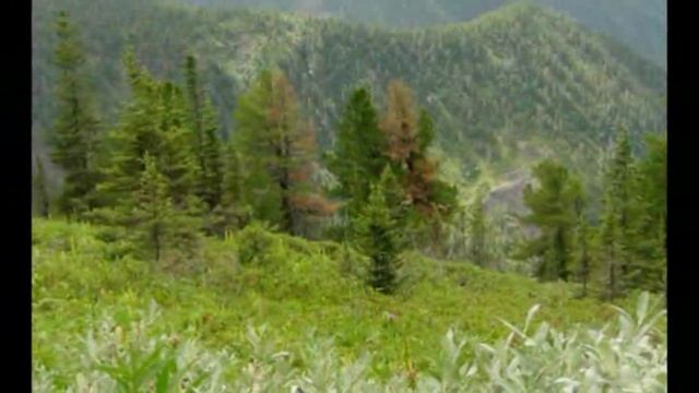 На Пик Черского-15 Анонс