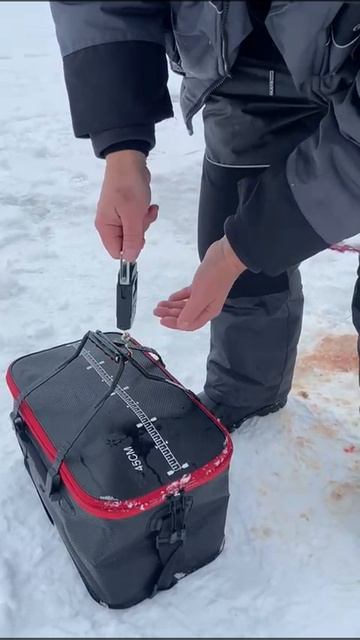 рыбалка Пудыши