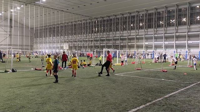 PROFIBALL & Арсенал Реутов  8:4