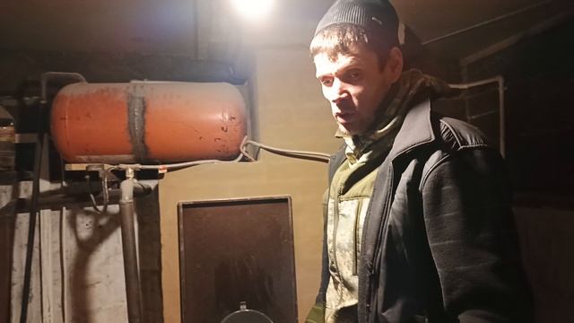 Первые перепелиные яйца(39 дней)