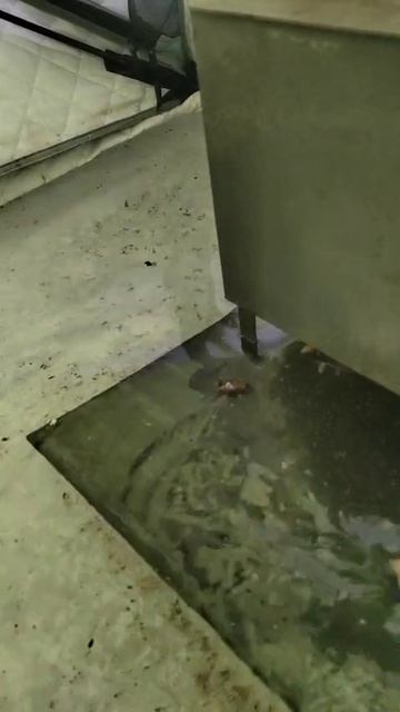 53 На рыбалке в палатке зимой  утонула печка Сибирь