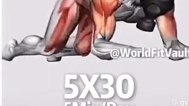 1000009537.mp4