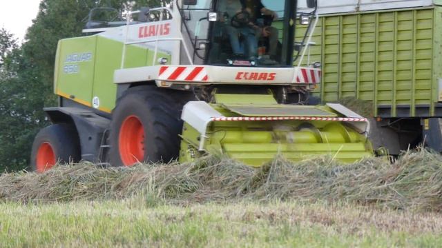 🍀🍀Zbiór Traw 2022 🍀🍀/Emisja spalin 100%😅///FENDT 920 & KRONE ZX