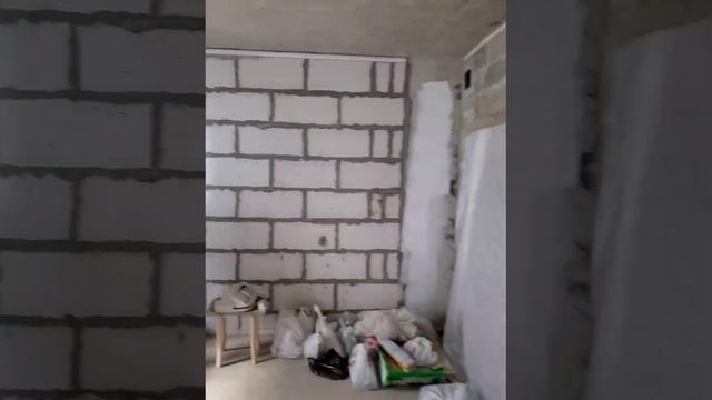 VID-20241025-WA0013.mp4