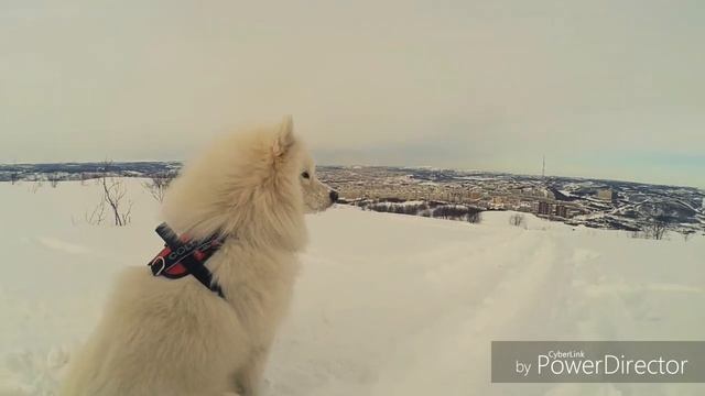 Г. Мурманск 17.03.18