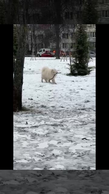 Клинический случай