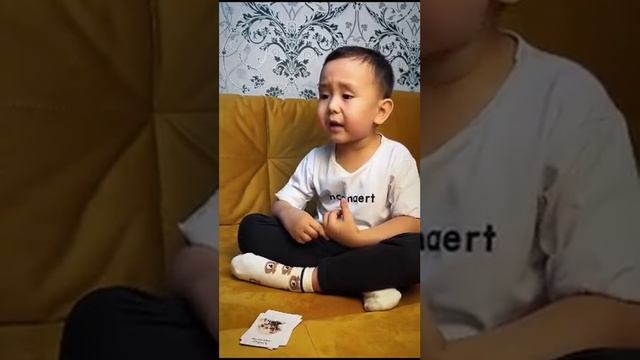 Повторение пройденного