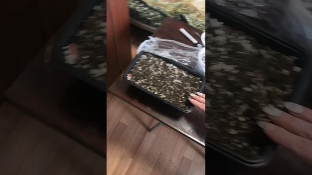 Сладкая Анна клубника с ОZON