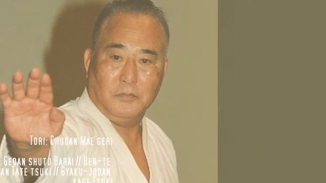 Byron bay Kase-Ha Shotokan Karate Australia Seminar. (august 2017) - kumite training part 6