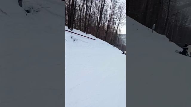 Еду по зелёной трассе на горных лыжах от 1 лица