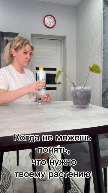 Учусь разговаривать на языке цветов