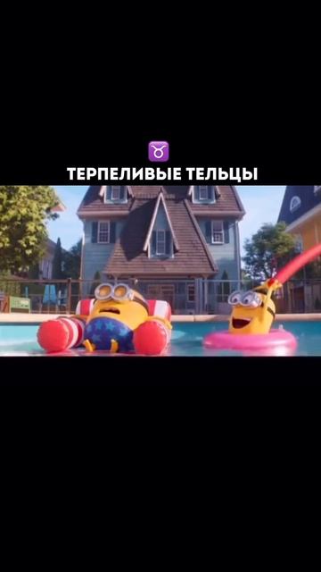 VID_20250302_115812_940.mp4