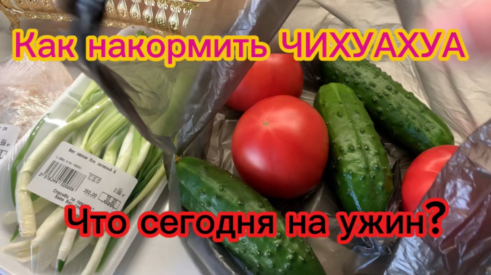 Как накормить ЧИХУАХУА⁉️Что сегодня на ужин ?