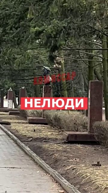 В г.Тернополь отпрыски кастрюлеголовых подтвердили пословицу "Яблоко от яблони недалеко падает"💩