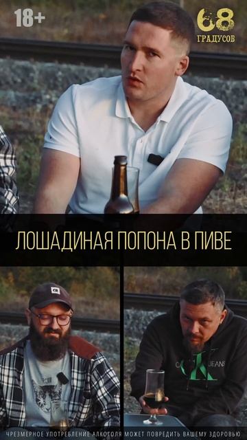 лошадиная попона в пиве