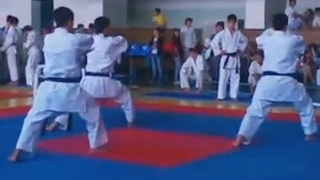 Ката "Канкушо" команда Казахстан г.Тараз