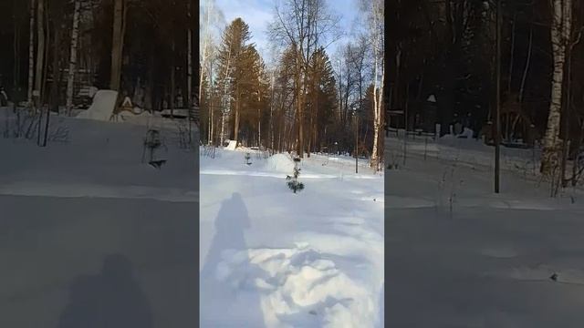 VID-20250302-WA0025