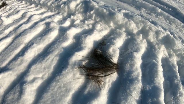 ЛЫЖНЫЙ поход в окрестностях с. ХМЕЛЁВКА / Зуевский район / Кировская область