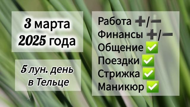 Лунный день 3 марта 2025 года