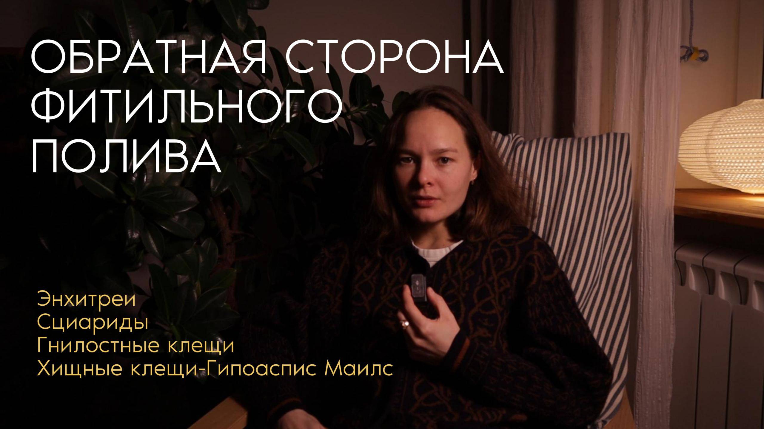 минусы ФИТИЛЬНОГО ПОЛИВА и ПОЛУГИДРОПОНИКИ | Энхитреи, Сциариды, Гнилостные клещи | ХИЩНЫЕ КЛЕЩИ
