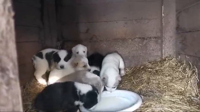 1000135894.mp4