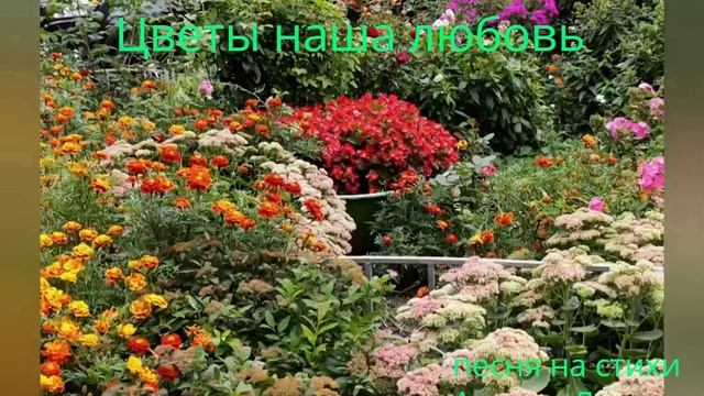 Цветы наша любовь