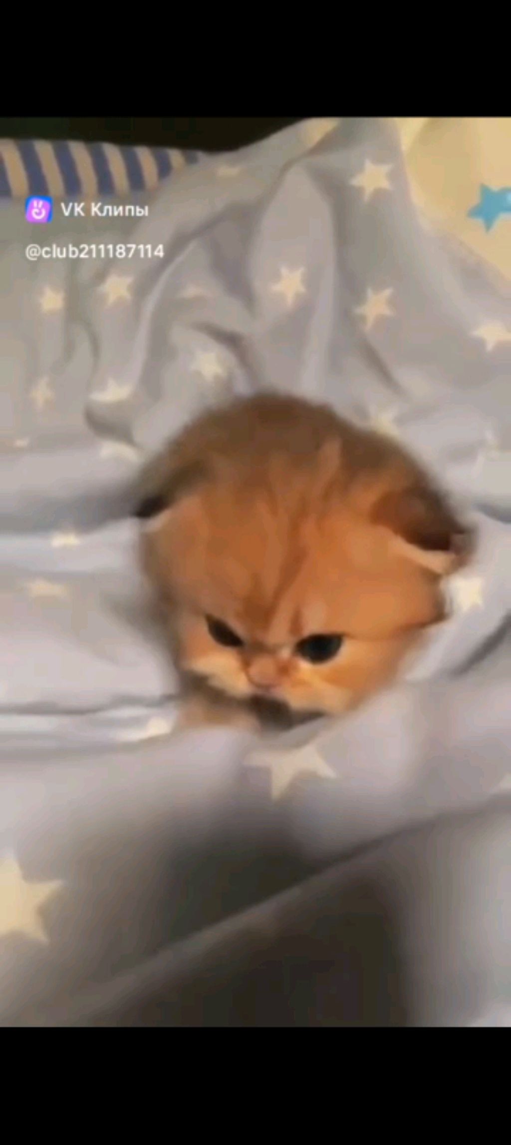ваууу