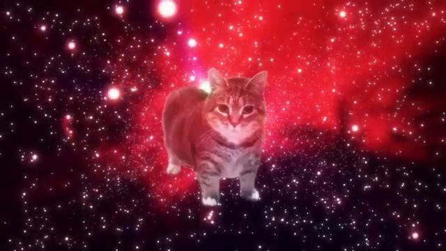 W&W - OIIA OIIA (Spinning Cat)