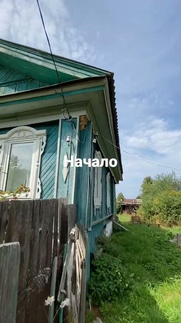 Обработка от шершней на участке (#хотим#в#топчик#видио#