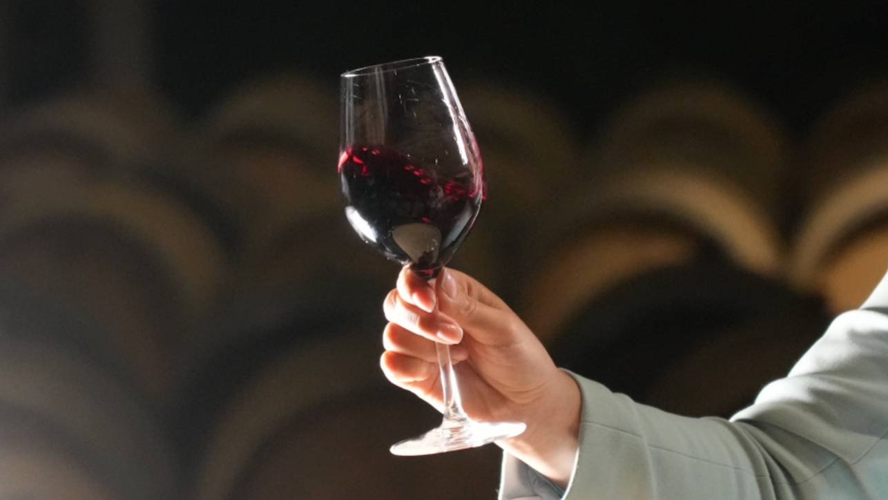 Тепло, уникальность и колорит: как в России развивается винная индустрия