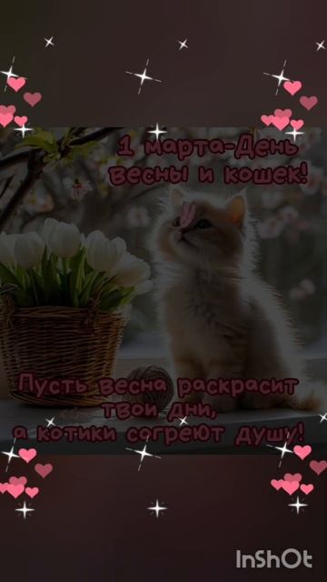 Поздравляю,мои хорошие!🤗💖🐱🌷☀️#1марта#весна#денькошек#всеммира#всемдобра#всемлюбви#всемсчастья#тр