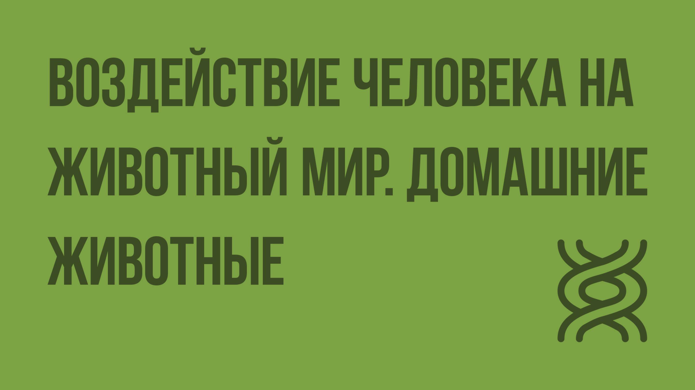 Воздействие человека на животный мир. Домашние животные. Видеоурок по биологии 7 класс