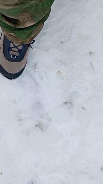 новые ботинки 🥾