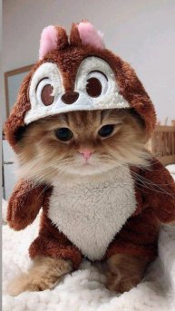 ☆ скоро у меня будет канал в likee называется Арина life