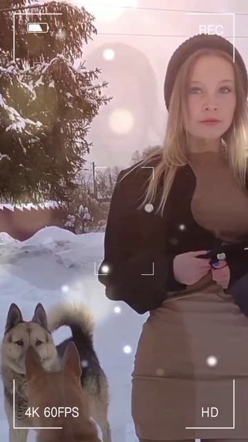 Дворовые собаки Решили тоже сняться в ролике на Rutube Испугалась конкретно 🤣