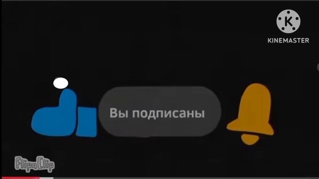 1000025933.mp4