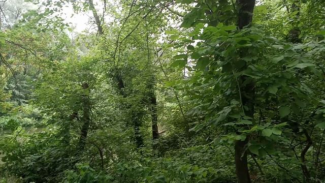 VID_20230713_150936