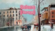 Sakura-Погода (Acoustic version)