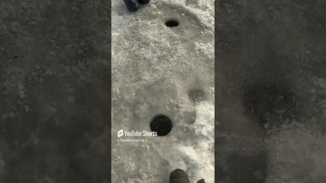 Красотка попалась на раттлин