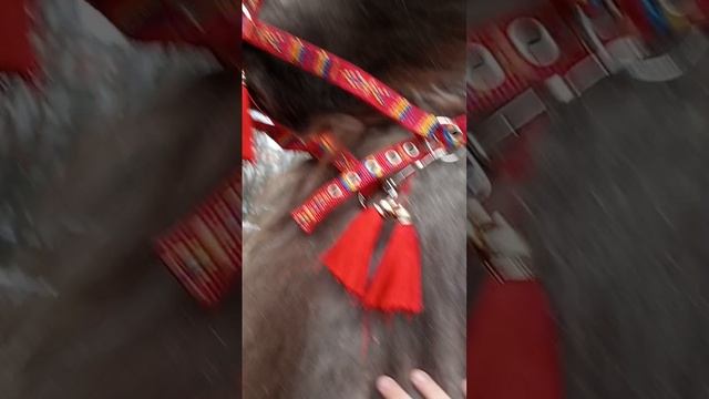 талах