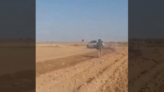 когда приехал к деду в деревню помочь грядки вскопать 😂
